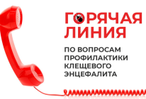 Горячая линия по вопросам профилактики клещевого энцефалита