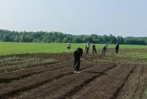 Учебное хозяйство КАПТ: здесь знания превращаются в навыки