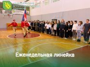 Еженедельная линейка